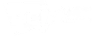 dss logo white